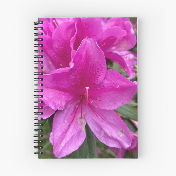 Item preview, Single Purple Flower designed and sold by Sinemathk.