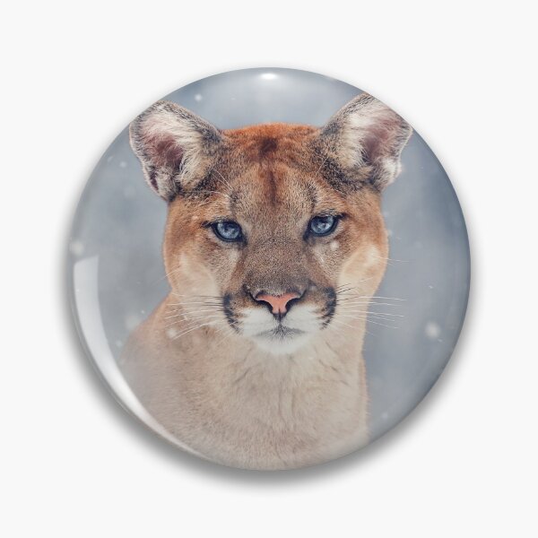Item preview, Mountain Lion Cub in the Snow designed and sold by Jessica Kirste.