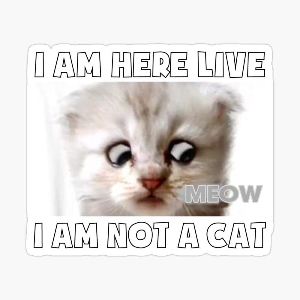 I Am Here Live I Am Not A Cat Mask By Serialdesigners Redbubble