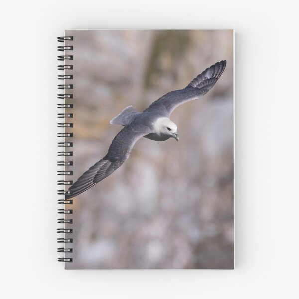 Item preview, Fulmar designed and sold by Neil Bygrave (NATURELENS).