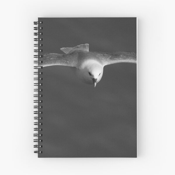 Item preview, Fulmar designed and sold by Neil Bygrave (NATURELENS).