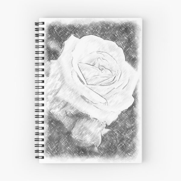 Item preview, Pink Roses in Anzures 2 Charcoal designed and sold by TravelPhotoArt.
