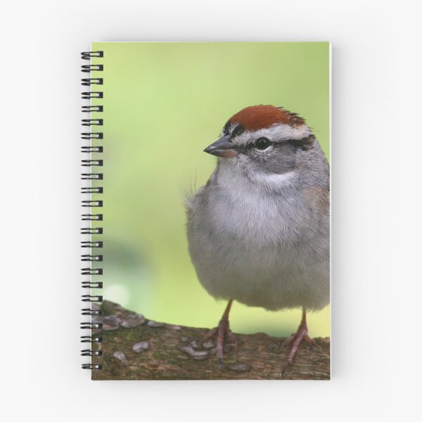 Item preview, Chipping Sparrow designed and sold by Enola Gay Wagner.