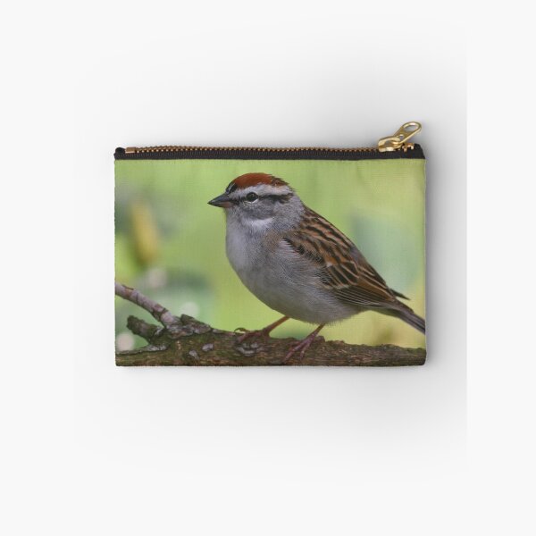 Item preview, Chipping Sparrow designed and sold by Enola Gay Wagner.
