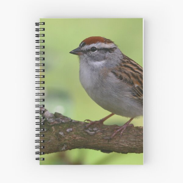 Item preview, Chipping Sparrow designed and sold by Enola Gay Wagner.
