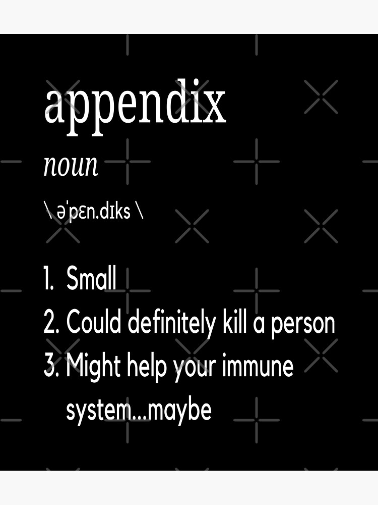 Appendices Meaning