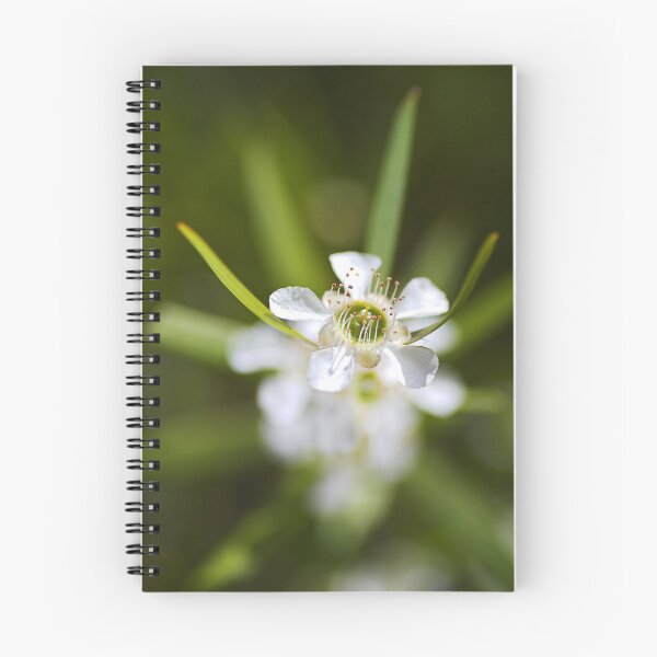 Item preview, Pacific Beauty Tea Tree Flowers White designed and sold by Joy Watson - Natural Light Photography .