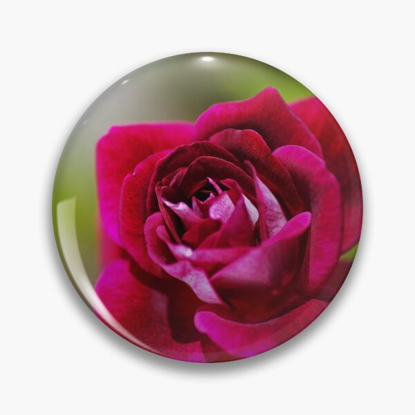 Item preview, Deep Rich Pink Rose Full Bloom  designed and sold by Joy Watson - Natural Light Photography .