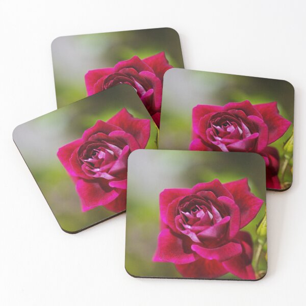 Item preview, Deep Rich Pink Rose Full Bloom  designed and sold by Joy Watson - Natural Light Photography .