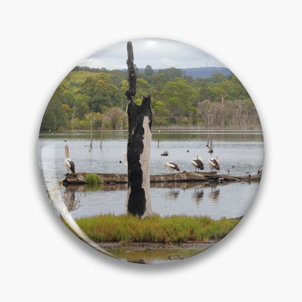 Item preview, Sewage settlement ponds designed and sold by Doug Cliff.