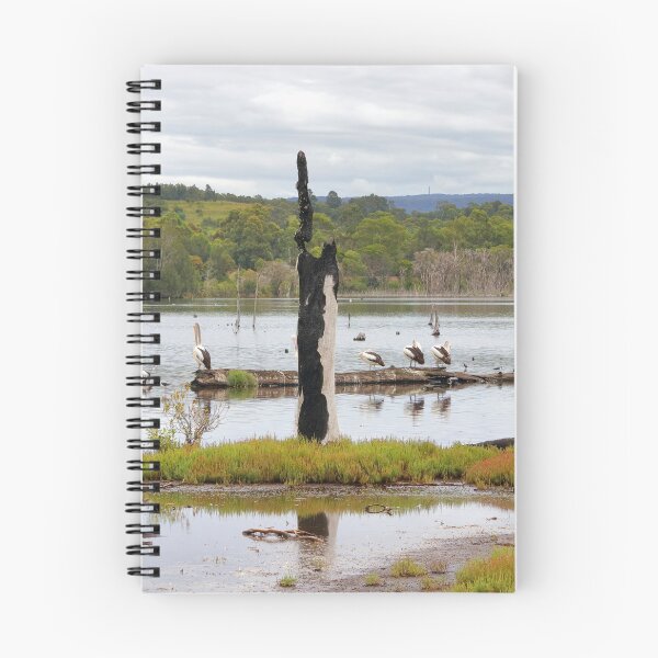 Item preview, Sewage settlement ponds designed and sold by Doug Cliff.