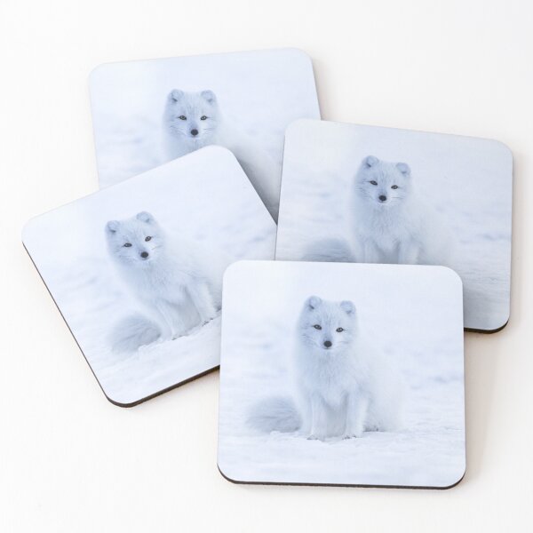 Arctic Fox Coasters (Set of 4)
