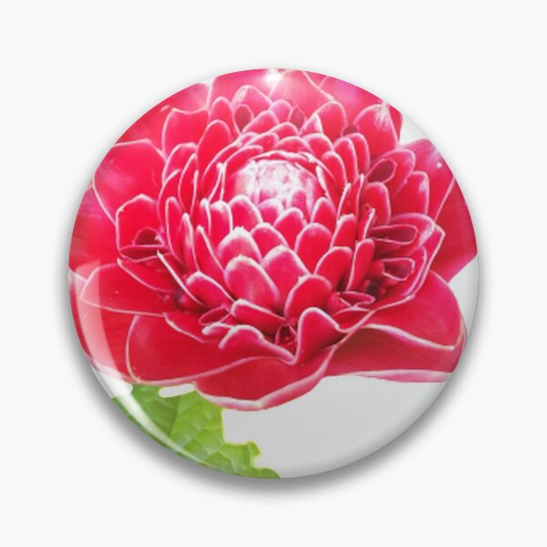 Item preview, Red Flowers designed and sold by Biz PNG.