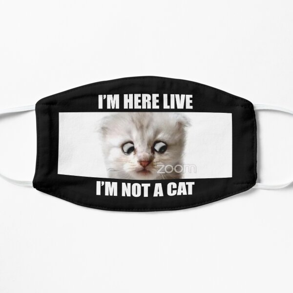 Im Not A Cat Gifts Merchandise Redbubble