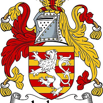 Brandon Coat of Arms, Family Crest - Free Image to View - Brandon