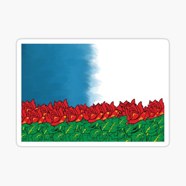 Blackburn Rovers Sticker