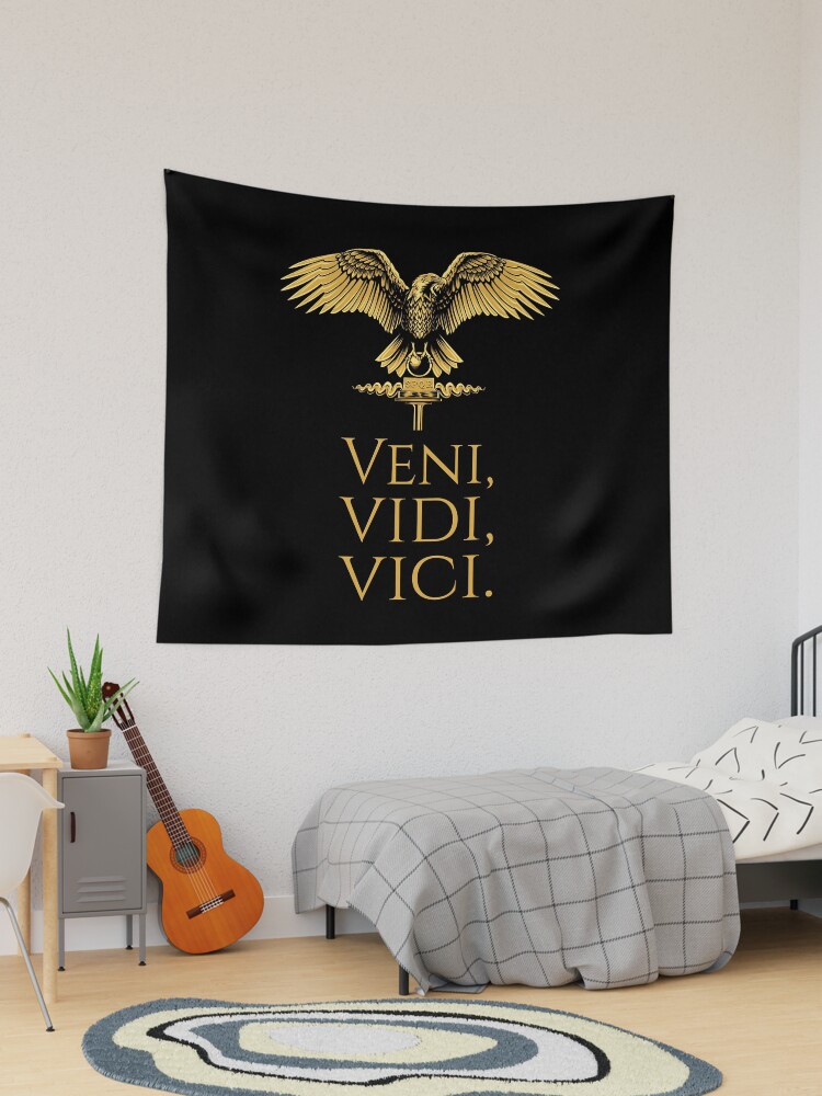 Veni, Vidi, Vici (Second Edition)