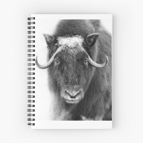 Item preview, Muskox designed and sold by James Cumming.