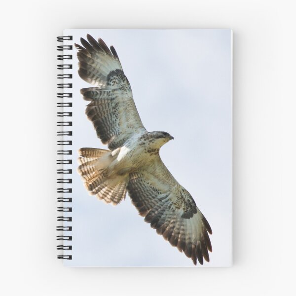 Item preview, Buzzard designed and sold by Neil Bygrave (NATURELENS).