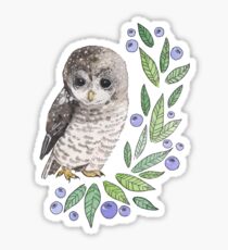 A cute owl with blueberries - 4erta Sticker