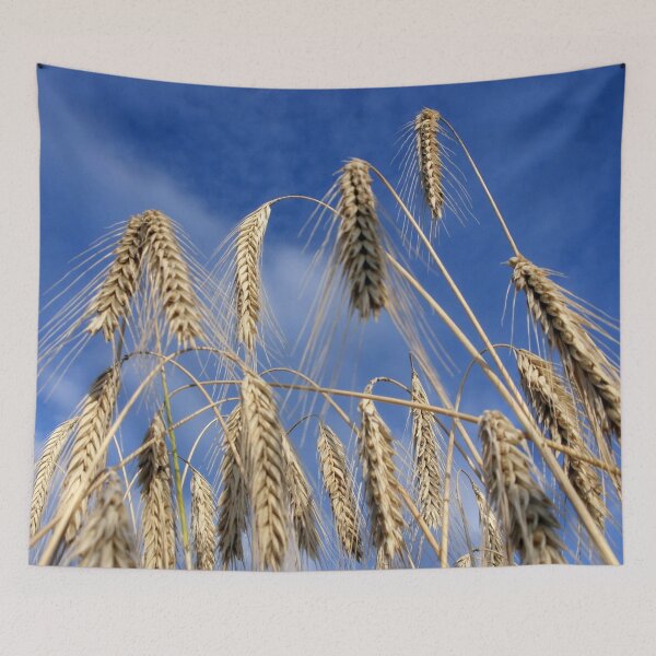 Item preview, Waiting For The Harvest designed and sold by NavorolArt.