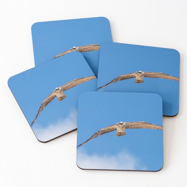Item preview, Eastern Osprey #2 designed and sold by Peter Hocking.