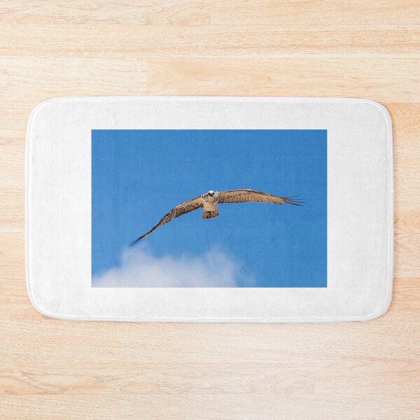 Item preview, Eastern Osprey #2 designed and sold by Peter Hocking.