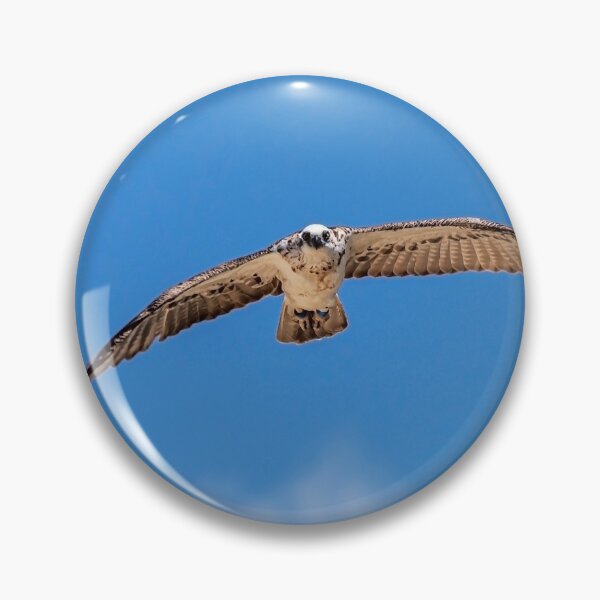 Item preview, Eastern Osprey #2 designed and sold by Peter Hocking.