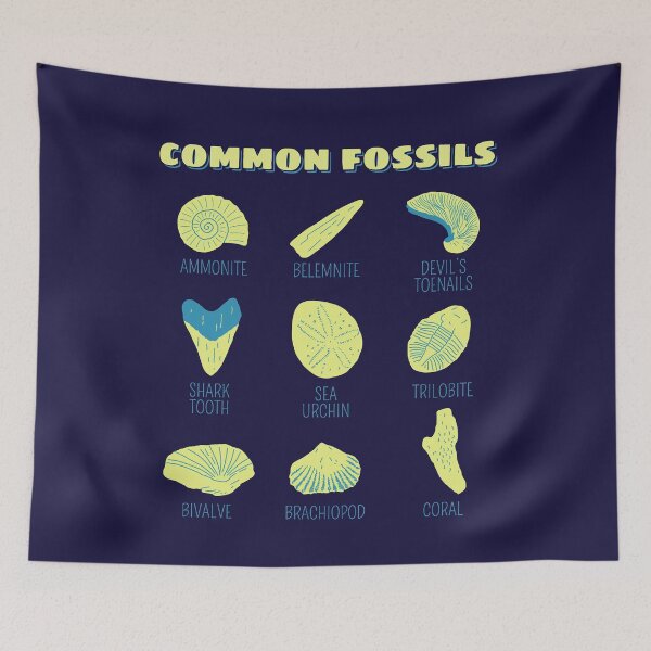 Item preview, Common Fossil Collection Gift For Fossil Hunters And Paleontologists designed and sold by JokeGysen.