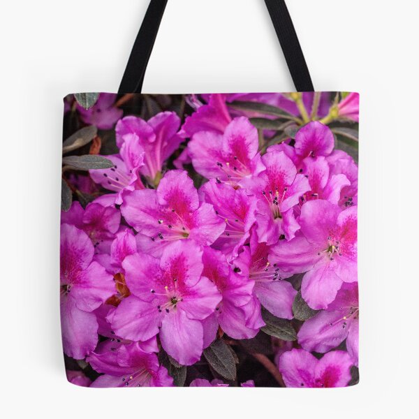 Item preview, Pink Azaleas  designed and sold by PhotosByHealy.