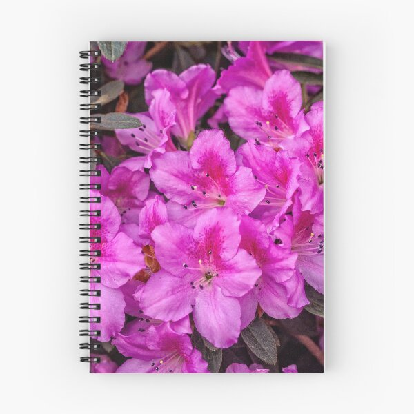 Item preview, Pink Azaleas  designed and sold by PhotosByHealy.