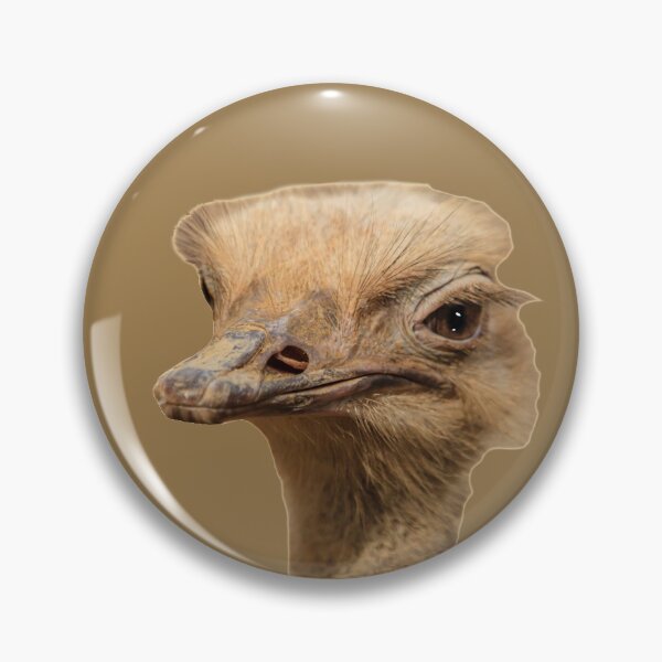 Item preview, Ostrich head designed and sold by Dalyndigital Photography.