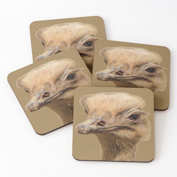 Item preview, Ostrich head designed and sold by Dalyndigital Photography.