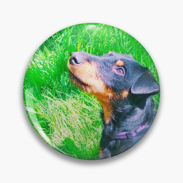 Item preview, Hunt terrier looking thoughtfully somewhere designed and sold by helenkaiy.