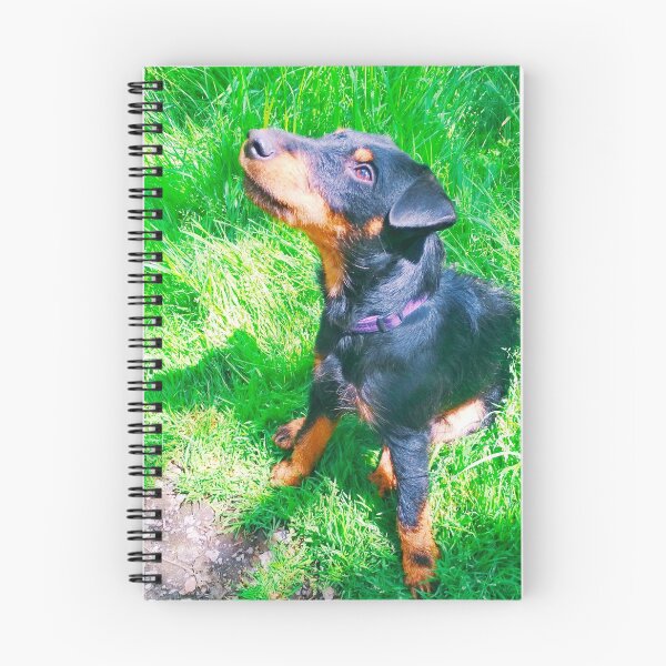Item preview, Hunt terrier looking thoughtfully somewhere designed and sold by helenkaiy.