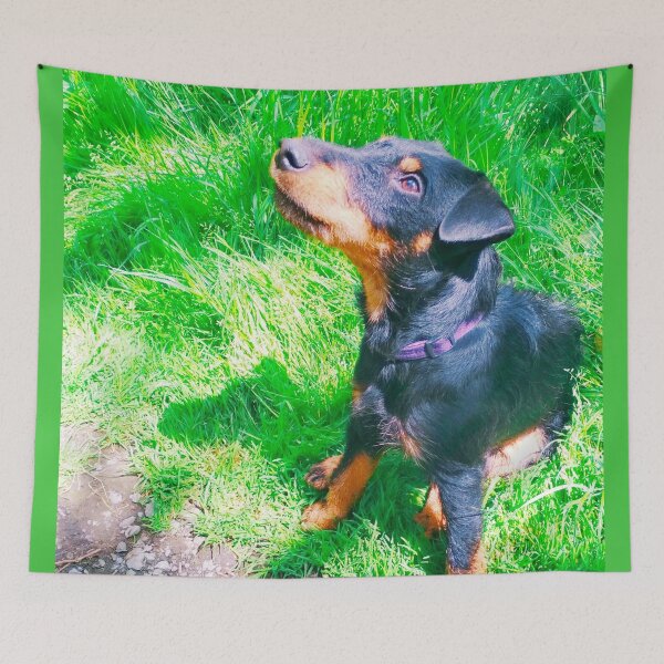 Item preview, Hunt terrier looking thoughtfully somewhere designed and sold by helenkaiy.