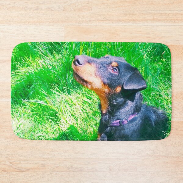 Item preview, Hunt terrier looking thoughtfully somewhere designed and sold by helenkaiy.
