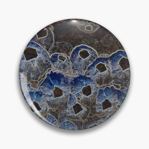 Item preview, Barnacles Illuminated designed and sold by Carol James.