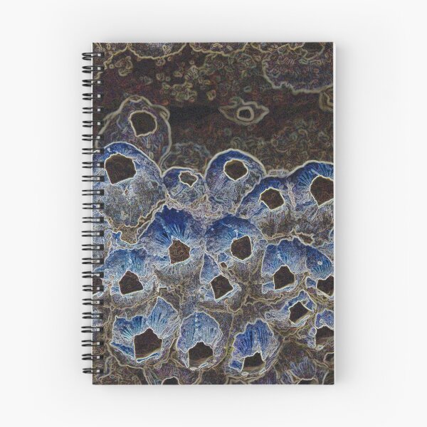 Item preview, Barnacles Illuminated designed and sold by Carol James.