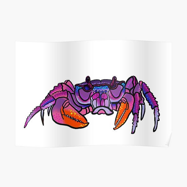 Poster Ohuhu Vampire Crab Par Xxmysticwingsxx Redbubble