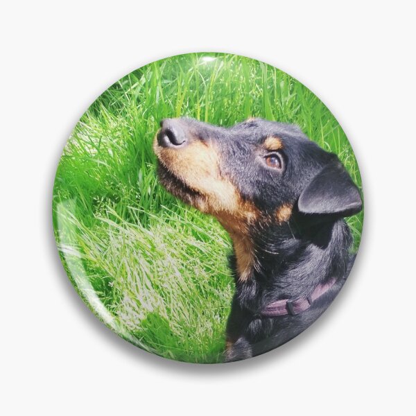 Item preview, Copy of Hunt terrier looking thoughtfully somewhere designed and sold by helenkaiy.