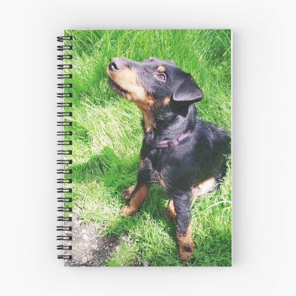 Item preview, Copy of Hunt terrier looking thoughtfully somewhere designed and sold by helenkaiy.