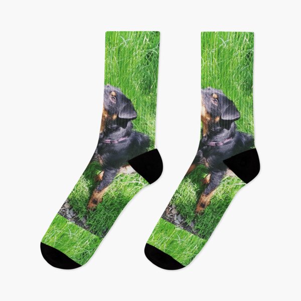 Item preview, Copy of Hunt terrier looking thoughtfully somewhere designed and sold by helenkaiy.