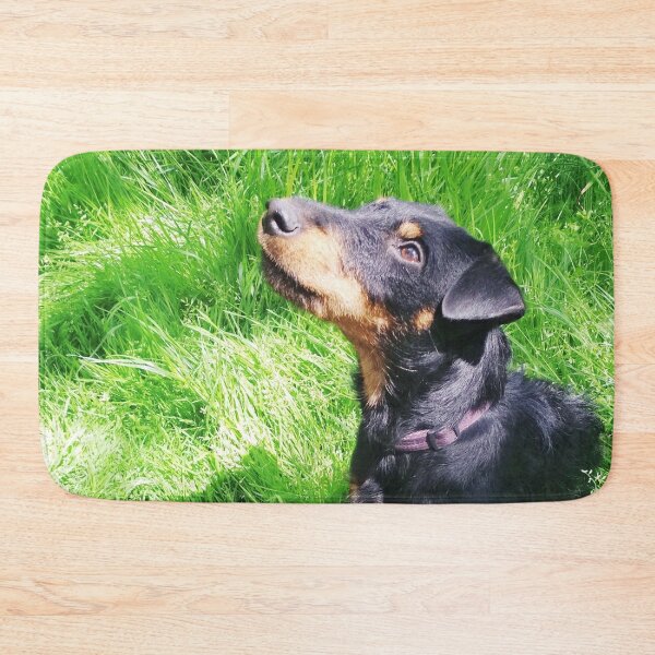 Item preview, Copy of Hunt terrier looking thoughtfully somewhere designed and sold by helenkaiy.