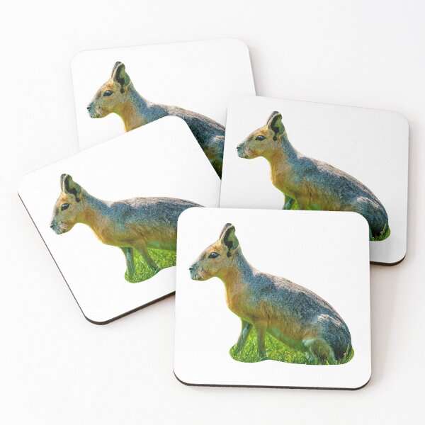 Item preview, Patagonian Mara designed and sold by Dalyndigital Photography.