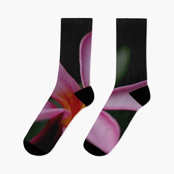 Artikelvorschau, Rosa Frangipani 1 entworfen und verkauft von Geoff Treagus.
