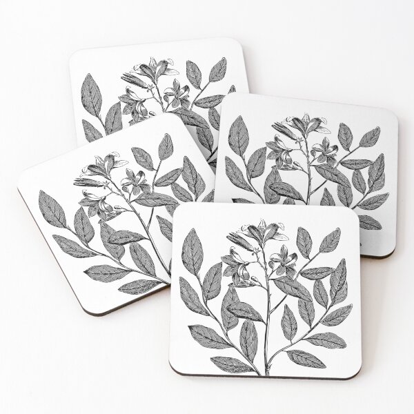 Item preview, Black And White Plant Artwork designed and sold by BlascoShop.