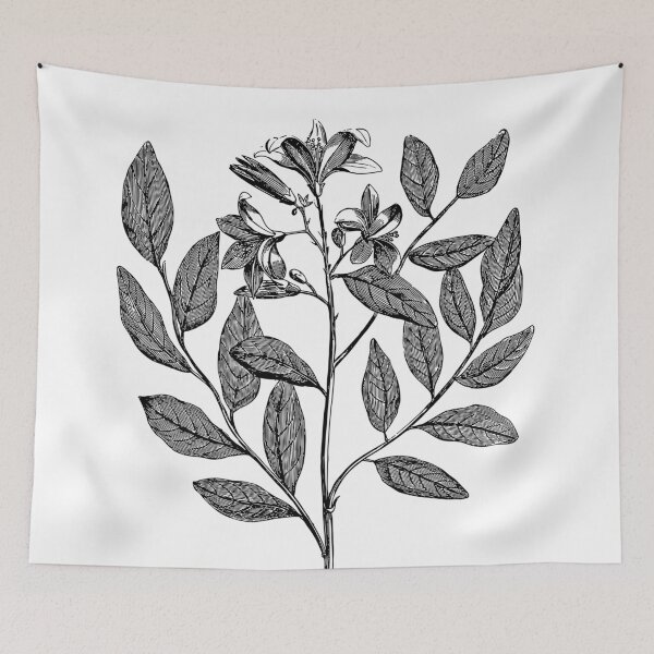 Item preview, Black And White Plant Artwork designed and sold by BlascoShop.