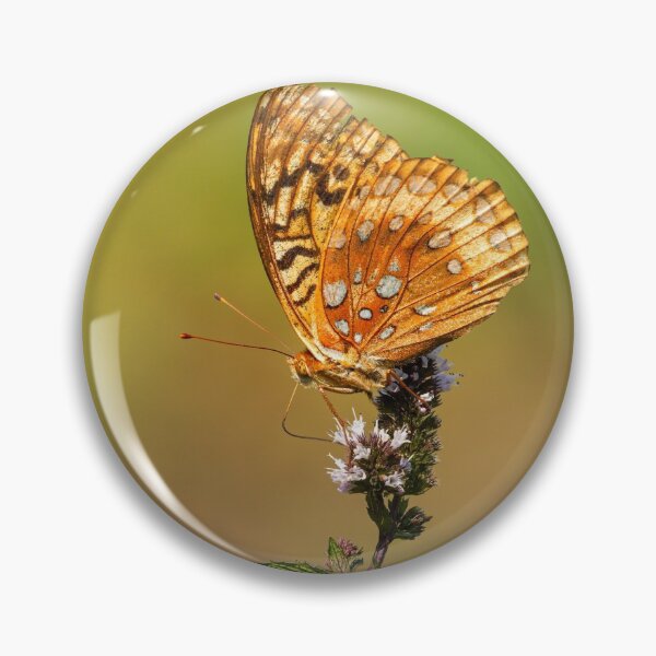 Item preview, Great Spangled Fritillary 2013-1 designed and sold by Thomasyoung.