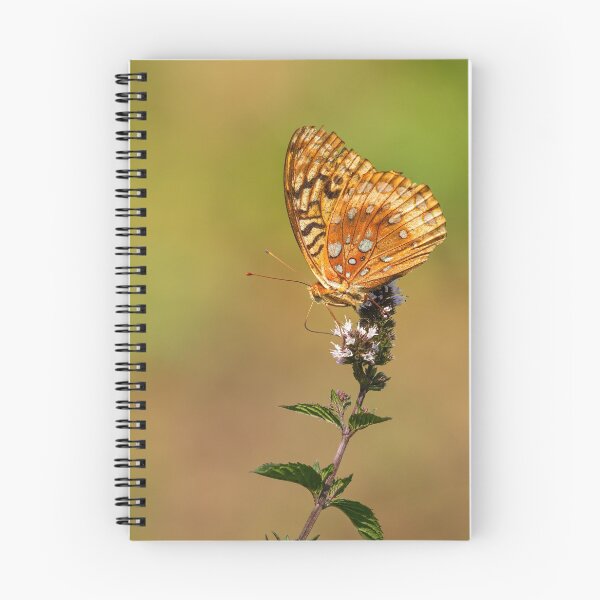 Item preview, Great Spangled Fritillary 2013-1 designed and sold by Thomasyoung.
